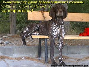 Прикреплённая картинка