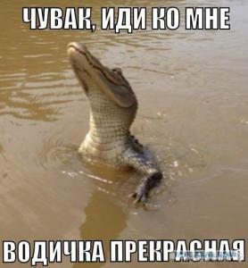 Прикреплённая картинка